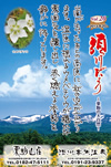 Vol.20