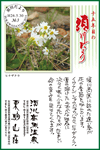 Vol.3