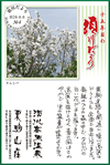 Vol.4