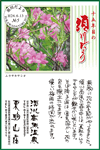 Vol.5
