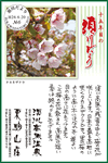 Vol.6
