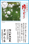 Vol.7