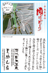 Vol.8