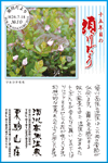 Vol.9