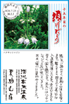 Vol.10