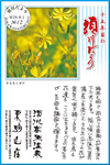 Vol.9