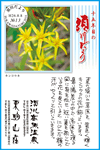 Vol.10