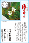 Vol.10