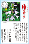 Vol.9