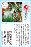 Vol.16