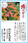 Vol.17