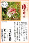 Vol.18