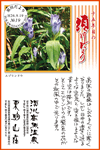 Vol.19