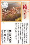 Vol.20