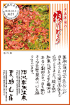 Vol.21