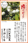 Vol.25