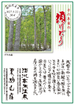 Vol.4