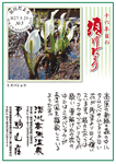 Vol.5