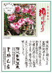Vol.6