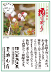 Vol.7
