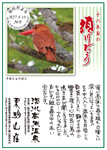 Vol.8