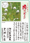Vol.9