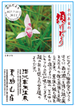 Vol.11