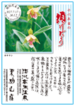 Vol.12