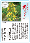 Vol.10