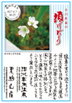 Vol.9