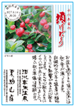 Vol.9