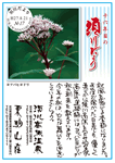 Vol.16