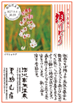 Vol.18