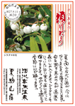 Vol.19