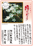 Vol.20
