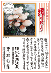 Vol.25