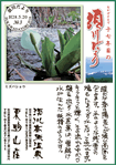 Vol.3