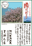 Vol.4