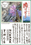 Vol.5