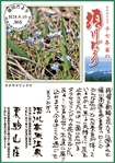 Vol.6