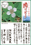 Vol.7