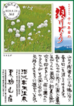 Vol.8