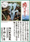 Vol.9
