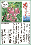 Vol.10