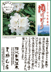 Vol.11