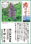 Vol.12