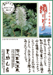 Vol.13