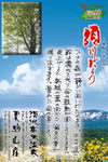 Vol.10