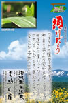 Vol.11