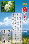 Vol.12